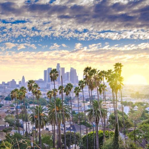 LA Skyline